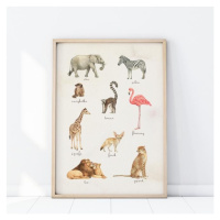 Plakát s motivem safari zvířat