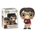 Funko Pop Harry Potter Anniversary- Harry w/The Stone