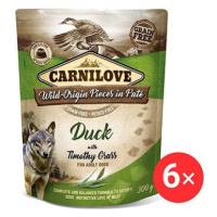 Carnilove Dog Pouch Paté Duck with Timothy Grass 6 × 300 g