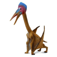 Collecta hatzegopteryx