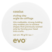 EVO Cassius styling clay 90g