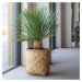 Květináč Zayn, barva přírodní bambus, více velikostí - PotteryPots Velikost: XXL - v. 90 cm, ⌀ 9