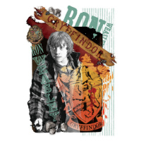 Umělecký tisk Harry Potter - Ron Weasley, (26.7 x 40 cm)