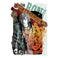 Umělecký tisk Harry Potter - Ron Weasley, 26.7 × 40 cm