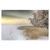 Fotografie Misty winter morning, Keijo Savolainen, 40 × 26.7 cm