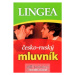 Česko-ruský mluvník Lingea