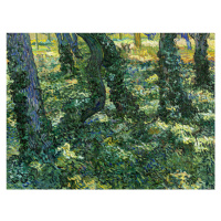 Obrazová reprodukce Undergrowth, Vincent van Gogh, 40 × 30 cm