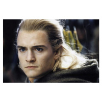 Fotografie Legolas, 40x26.7 cm