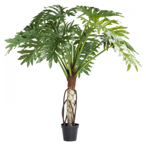 KARE Design Dekorativní rostlina Philodendron Bipinnatifidum 175 cm