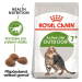 Royal Canin cat  OUTDOOR + 7 - granule pro stárnoucí kočky s častým pohybem venku - 2kg