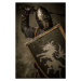 Ilustrace Medieval knight with sword and shield, NejroN, 26.7 × 40 cm