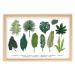 Obraz s rámem z borovicového dřeva Surdic Leafes Guide, 50 x 70 cm