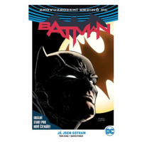 Znovuzrození hrdinů DC: Batman 1: Já jsem Gotham