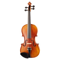 Pierre Marin Salieri Violin Set 4/4