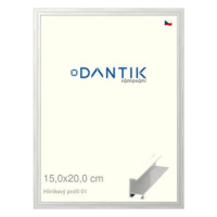 DANTIK rámeček 15 × 20, ALU profil 6001 Stříbrný lesklý sklo čiré