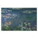 Obrazová reprodukce Lekníny, Monet, Claude, 40 × 26.7 cm