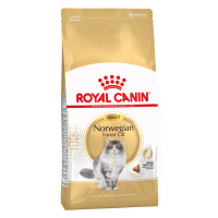 Royal Canin Norwegian Forest Cat Adult - Výhodné balení 2 x 10 kg