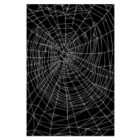 Fotografie Spider Web Pattern, CSA Images, 26.7x40 cm