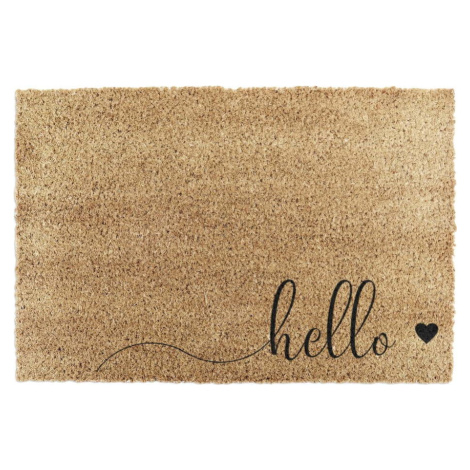 Rohožka z kokosového vlákna 40x60 cm Hello Scribble – Artsy Doormats