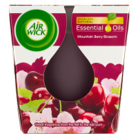 Air Wick Essential Oils Svíčka višňový čaj 105g