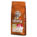 Ultima granule, 2 x 7 / 12 / 18 kg - 20 % sleva - Medium / Maxi Senior s kuřecím (2 x 12 kg)