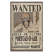 Plakát 61x91,5cm - One Piece - Wanted Ace