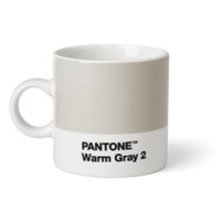 PANTONE Espresso - Warm Gray 2, 120 ml