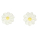 FunCakes Cukrová dekorace white Daisies - kopretiny 16ks