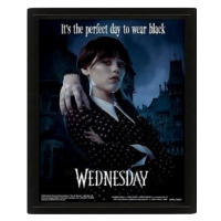 Netflix Wednesday: Perfect Day - 3D obraz