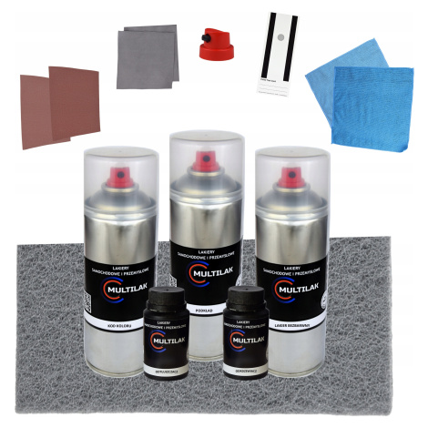 Velký Opravný Set Autolaku Spray Set Bmw 303