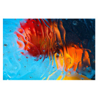 Fotografie Red, orange, blue, yellow colorful abstract, Alexander Shapovalov, 40 × 26.7 cm