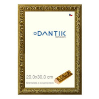 DANTIK rámeček 20 × 30, Starozlatý s ornamentem sklo čiré