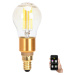 B.V. LED Žárovka FILAMENT G45 E14/4,5W/230V 2700-6500K