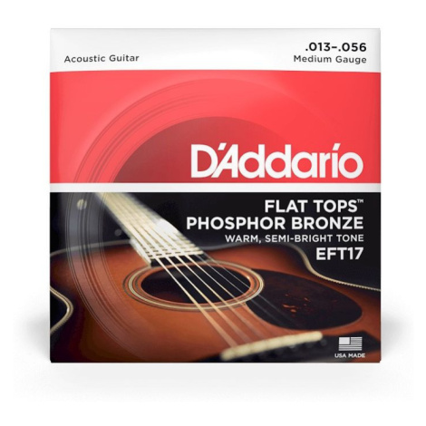 D'Addario EFT17 - Medium - .013 - .056