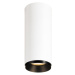 SLV BIG WHITE NUMINOS CL DALI S vnitřní LED přisazené stropní svítidlo bílá/černá 2700 K 60° 100