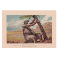 Ilustrace Megatherium americanum, extinct giant ground sloth,, ZU_09, 40 × 26.7 cm