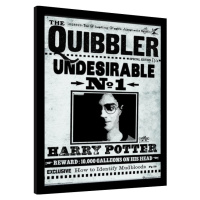 Obraz na zeď - Harry Potter - The Quibbler