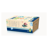 Stavebnice SEVA - box, 2 521 dílů