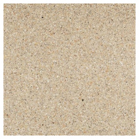 Dlažba Graniti Fiandre Il Veneziano beige 60x60 cm mat AS242X1060