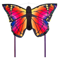 Invento Motýl duhový