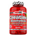 Amix Nutrition Creatine Monohydrate 750mg - 220 kapslí