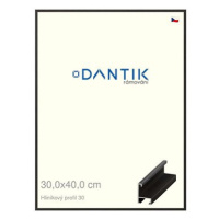 DANTIK rámeček 30 × 40, ALU profil 6030 Dýha černý plexi čiré