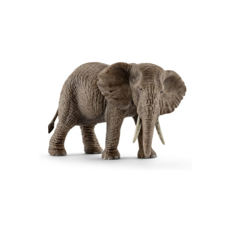 Zvířátko - slon africký samice Schleich