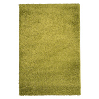 Mono Carpet Kusový koberec Efor Shaggy 1903 Green - 120x170 cm