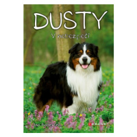 Dusty: V nebezpečí | Jan Andersen