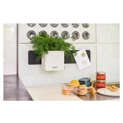 Lechuza Sada květináčů Green Wall Home Kit Color bílá 48 cm