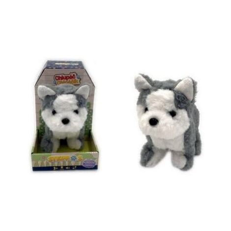 Husky na baterie MAC TOYS