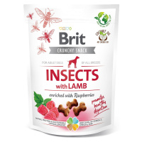 Brit Crunchy Cracker - hmyz, jehněčí maso a maliny 200 g