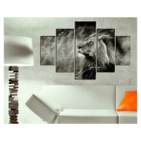 Wallity Vícedílný obraz RUNNING LION 205 92 x 56 cm