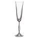 Crystalite Bohemia sklenice na šampaňské Fregata 190 ml 6KS